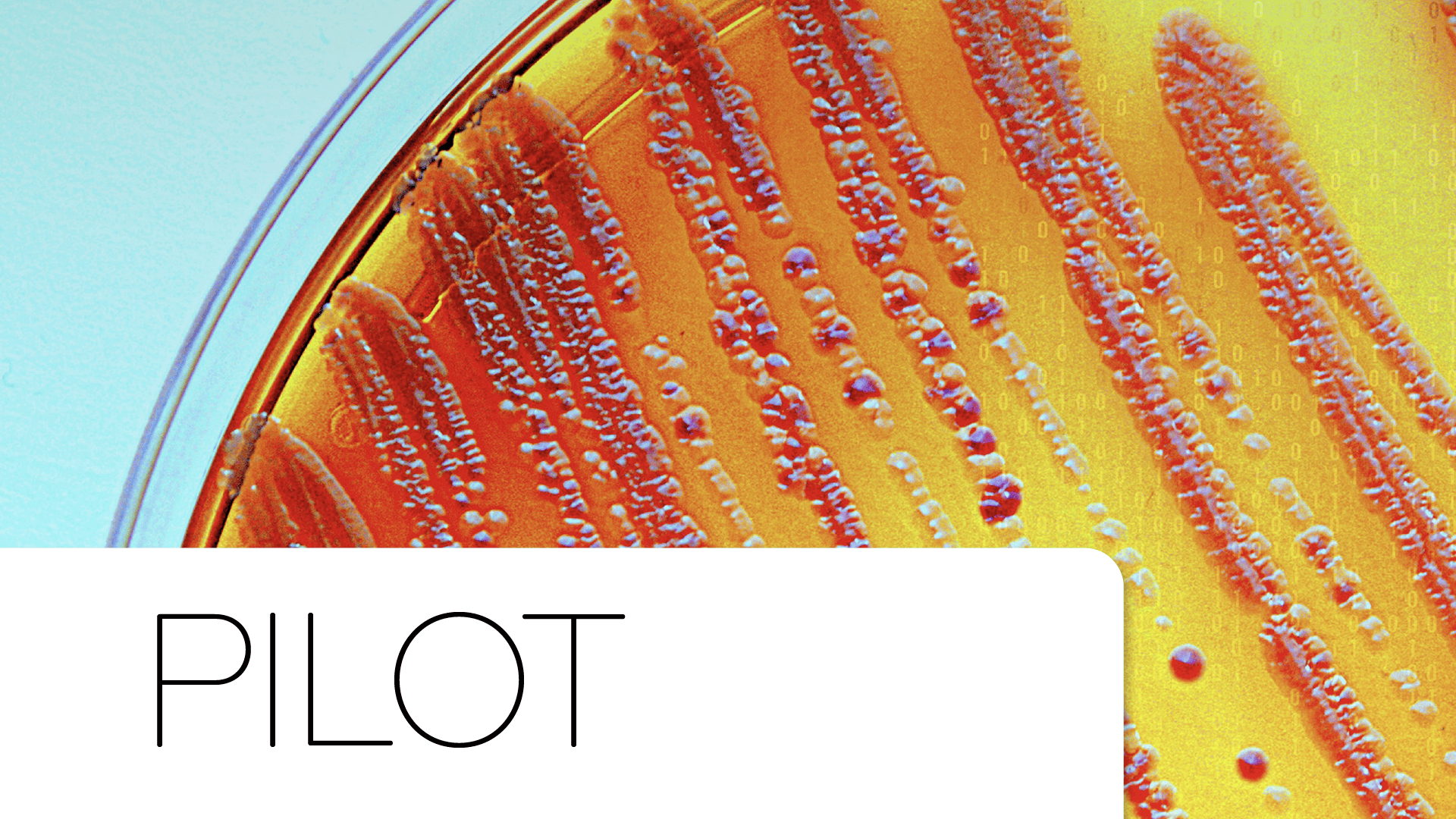 Middleware Microbiologie